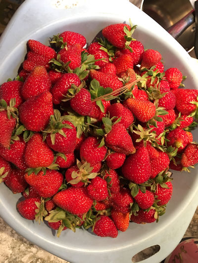 fresh strawberries