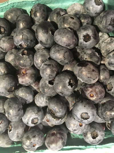 fresh picked blueberries